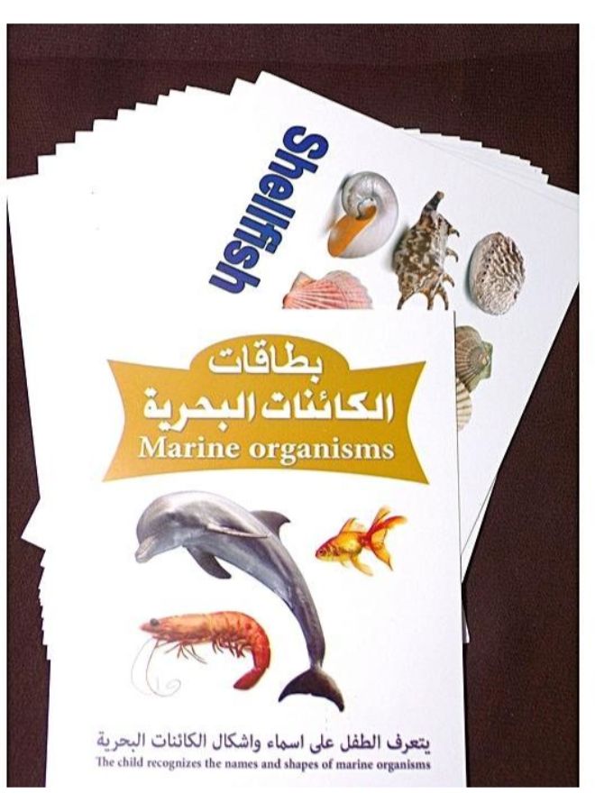 بطاقات الكائنات البحرية التعليمية - Image 2
