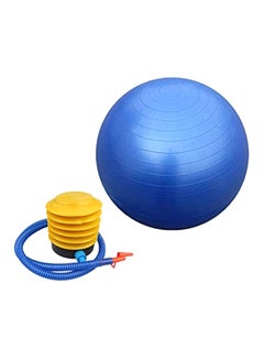 Generic Gym Exercise Swiss Fitness Pregnancy Birthing Injury Sciatica Yoga Ball  - Image 4