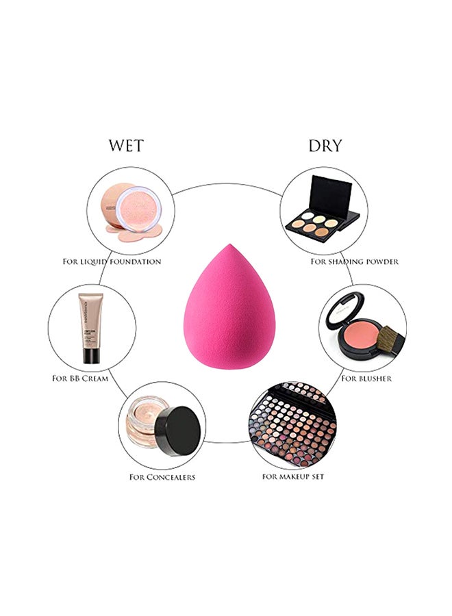 Dry And Wet Blender Pink
