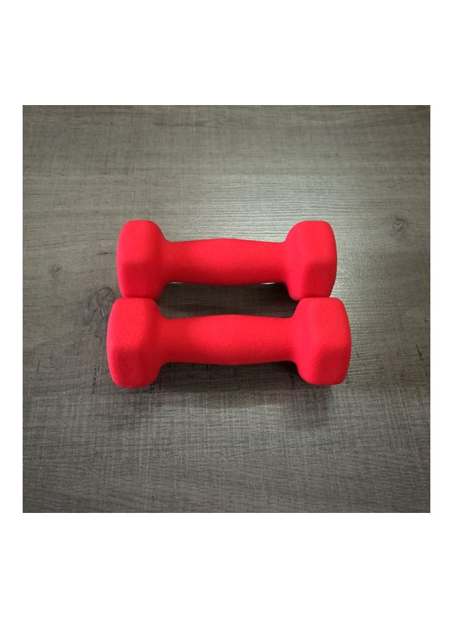 بودي هارت مجموعة أثقال من قطعتين 2x4كيلوجرام - Image 2