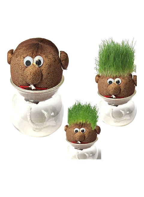 Growing Grass Head As Pictures Show As Pictures Show 860grams
