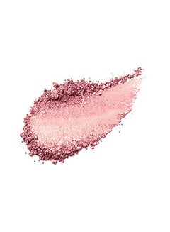 Pigmented And Shimmery Powder Blusher Berry - v1578166651/N33371846A_2