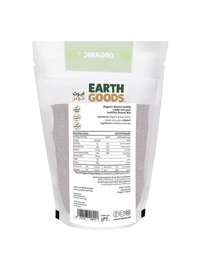 Earth Goods Organic High Protein Gluten-Free Brown Lentils 340grams  - Image 2
