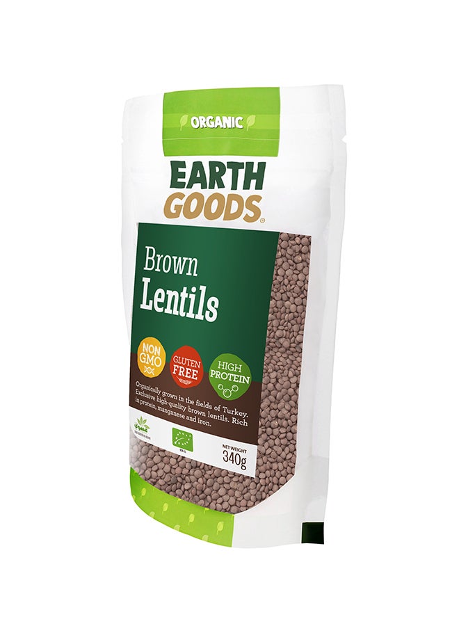 Earth Goods Organic High Protein Gluten-Free Brown Lentils 340grams  - Image 3
