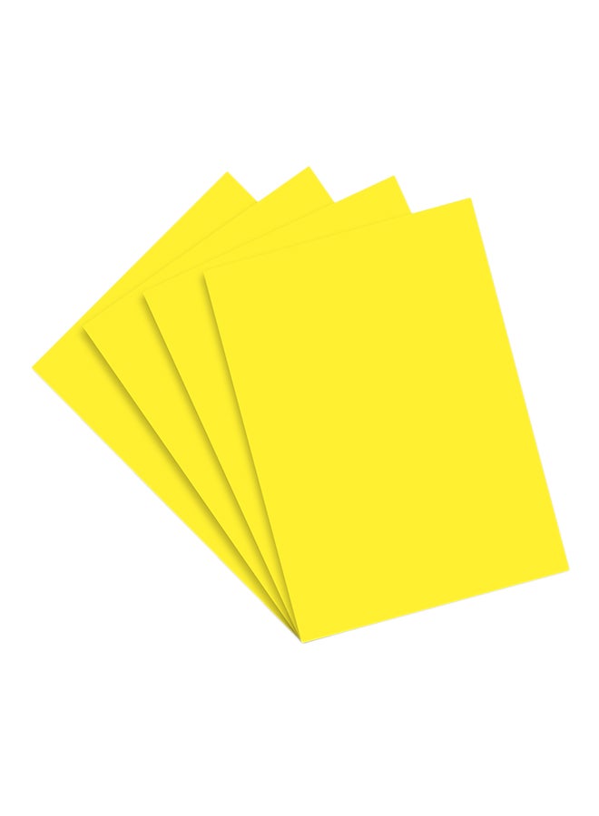 FIS 100-Piece Color Card  - Image 1