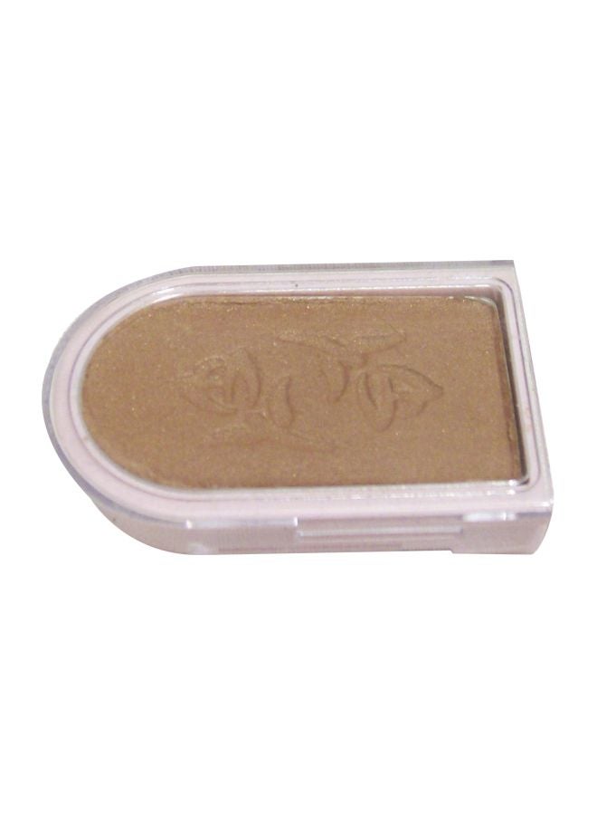 Mary Kay Powder Perfect Eye Color Shadow Gingerspice 5958