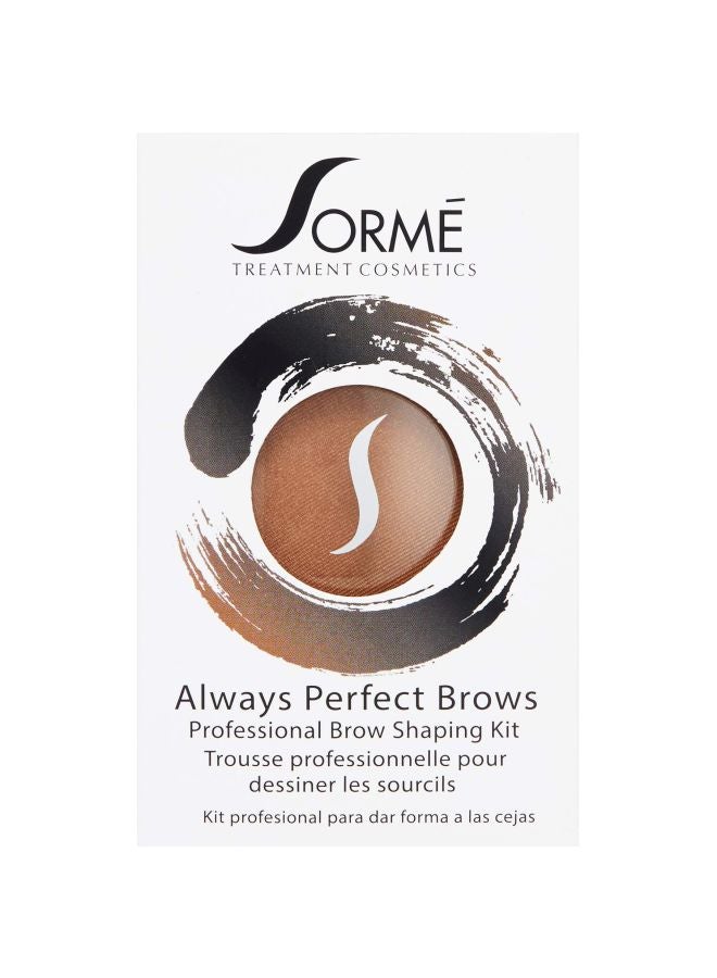 Always Perfect Pressed Brow Powder With Brush Dark Brown - v1578337469/N33381287A_3