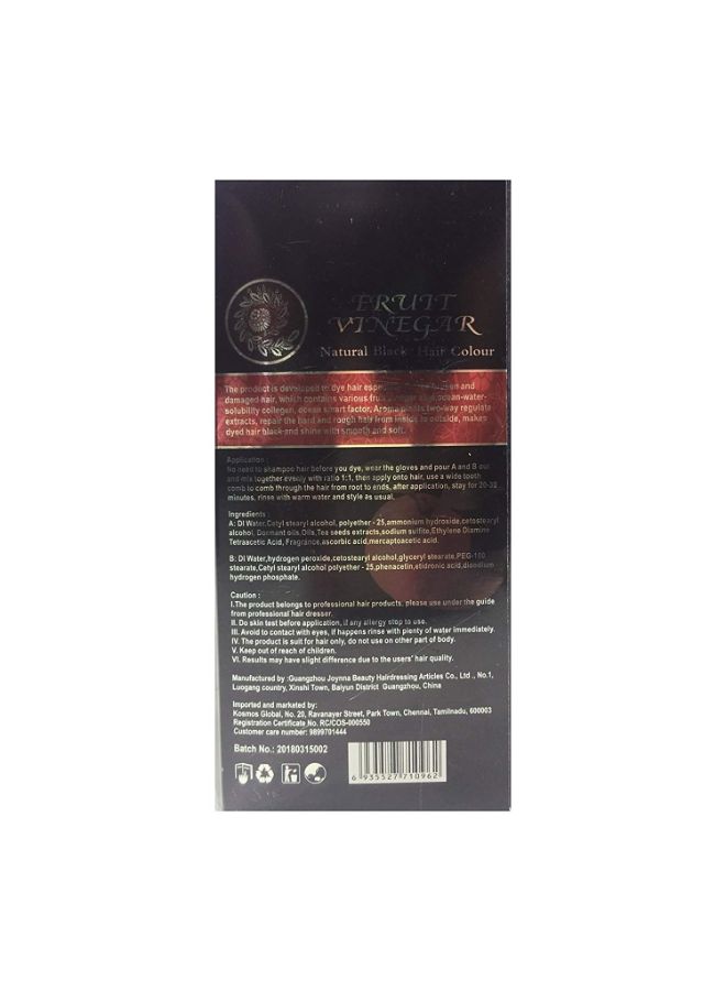 Generic - Fruit Vinegar Hair Color Gel Black 500ml - Image 1