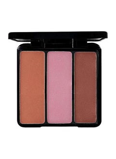 Natural Looking Face Blusher Palette Spicy Cheeks
