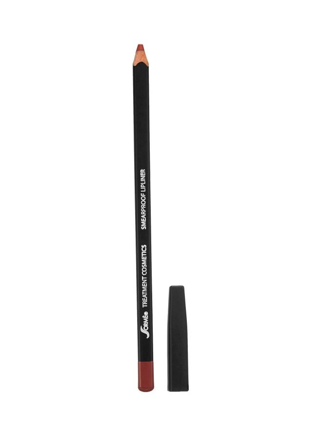 Sorme' Treatment Cosmetics Smearproof Lipliner Chestnut - Image 1