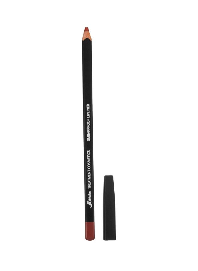 Smear Proof Lip Liner 8 Brique - v1578440089/N33400390A_1