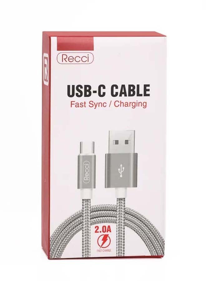 Recci Nylon Braided USB-C Cable Grey - Image 2