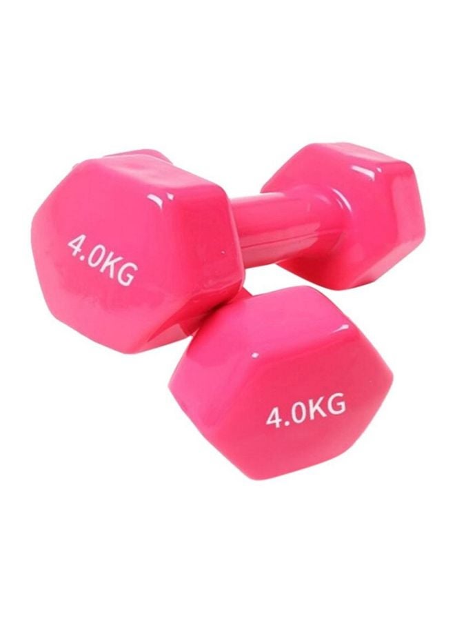 Generic 2-Piece Dumbbells Set 4kg 