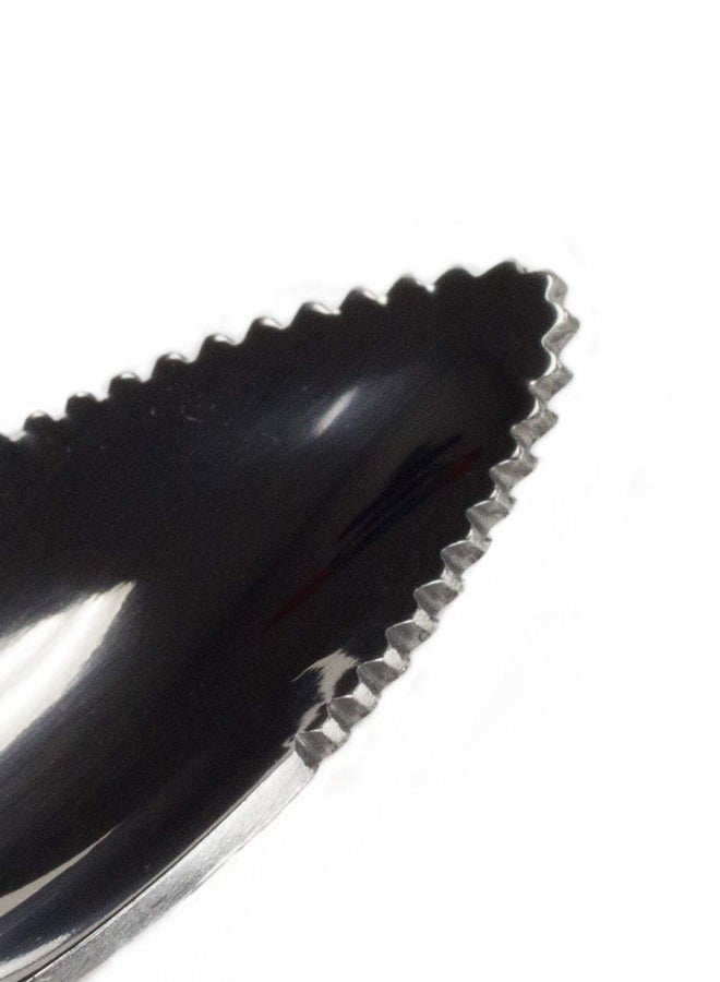 شيف كرافت ملعقة جريب فروت مسننة، حزمة من قطعتين فضي - Image 2