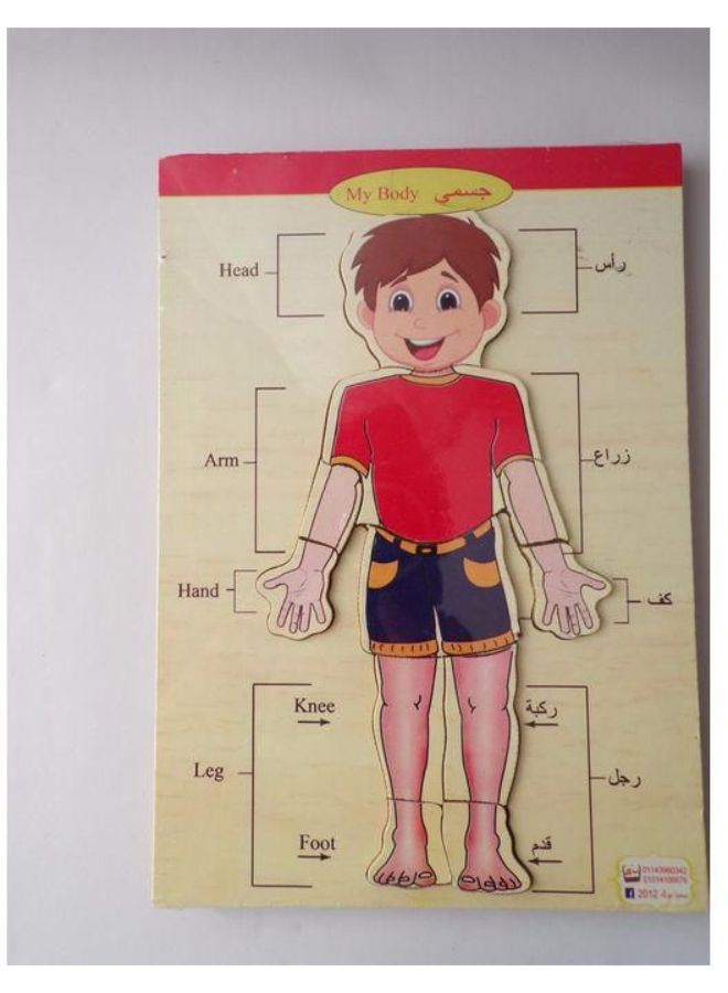 10-Piece Body Part Puzzle 17 x 24centimeter - Image 3