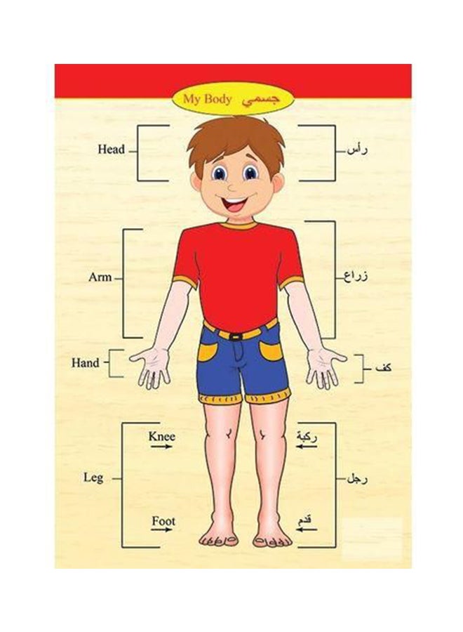 10-Piece Body Part Puzzle