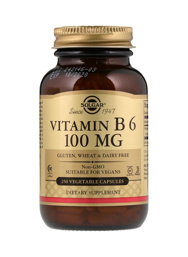 Solgar Vitamin B6 Dietary Supplement 100 mg Dietary Supplement - 250 Vegetable Capsules