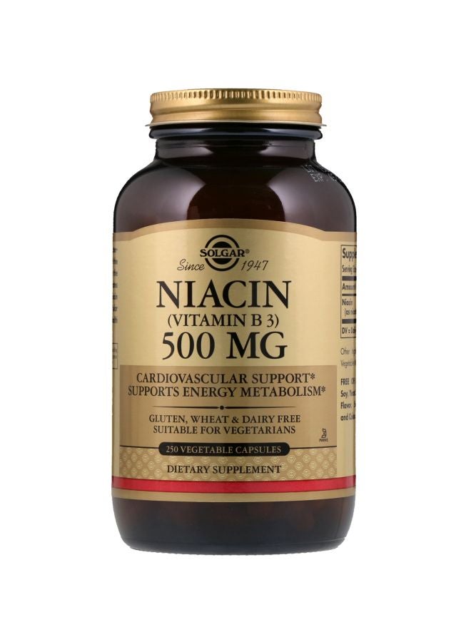 Solgar Niacin (Vitamin B3) 500 mg Dietary Supplement - 250 Vegetable Capsules