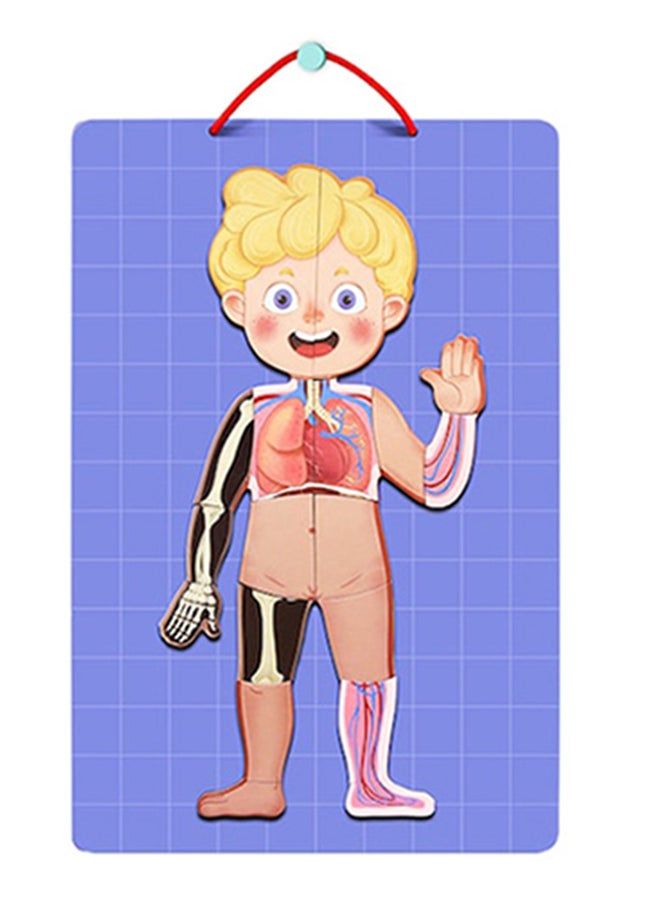 Beauenty Human Body Educational Puzzle - Image 1