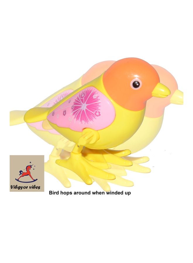 Vibgyor Vibes Pack Of 2 Key Operated Wind Up Bird Toy TOBIRD80  - Image 2