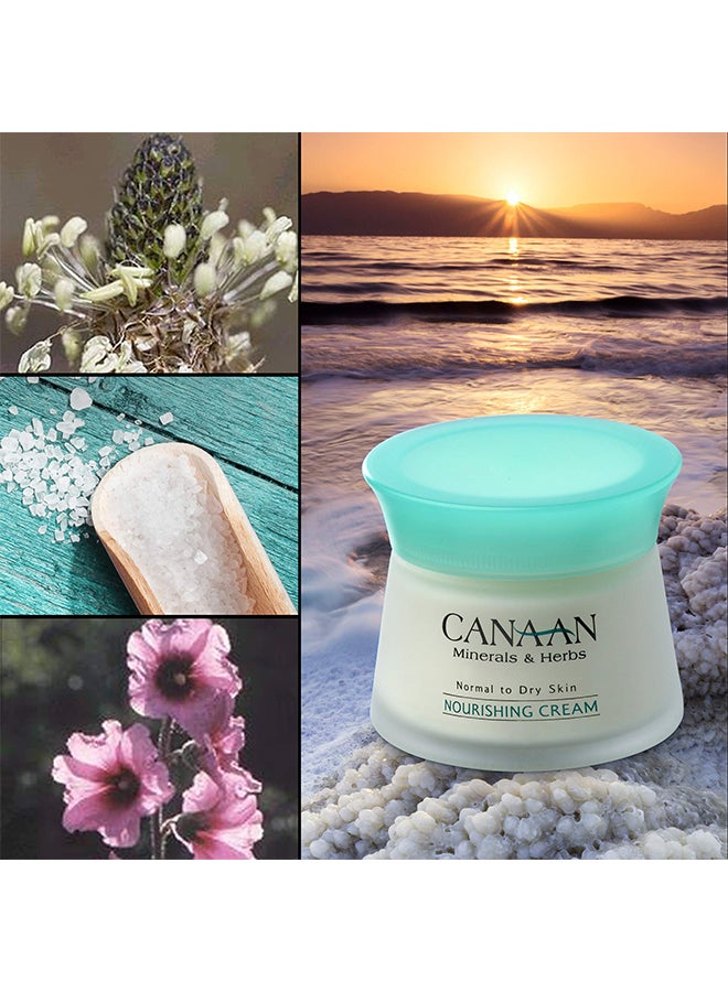 Canaan Minerals & Herbs - Dead Sea Anti Aging Nourishing Cream - Image 1