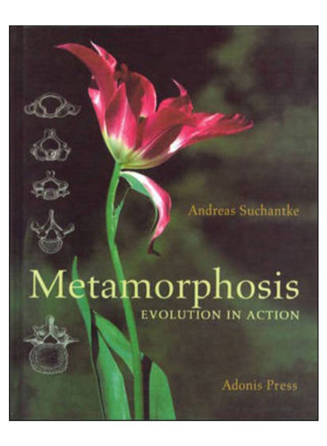 Metamorphosis hardcover english - 20-May-10