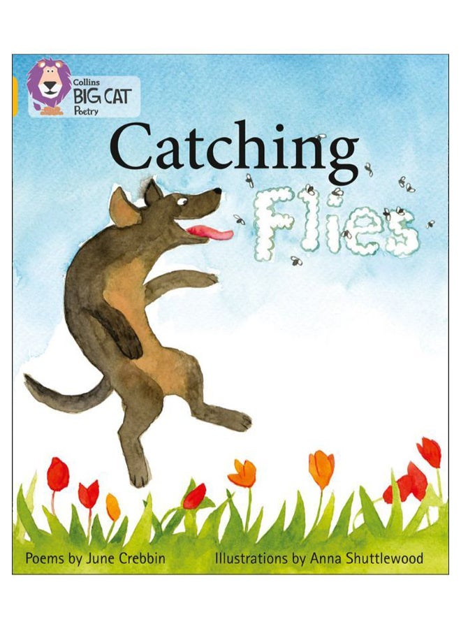 Catching Flies paperback english - 03-Sep-12 