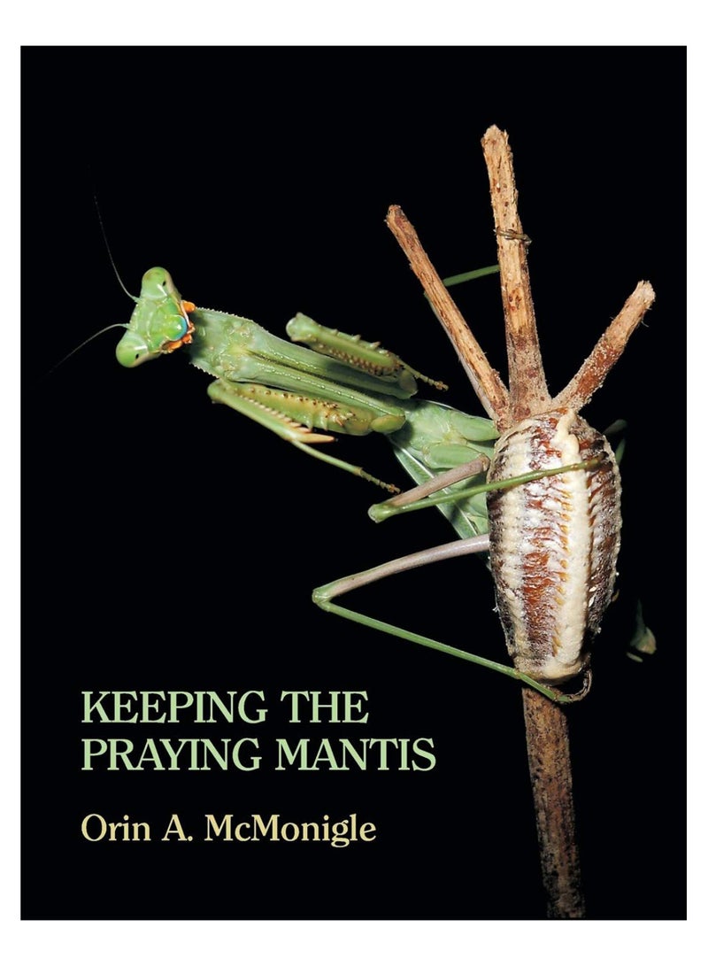 Keeping The Praying Mantis hardcover english - 19-Feb-13