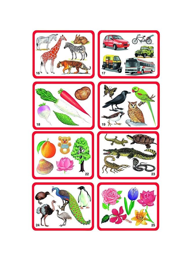Creative's What Does Not Belong Card Game CRE0617 