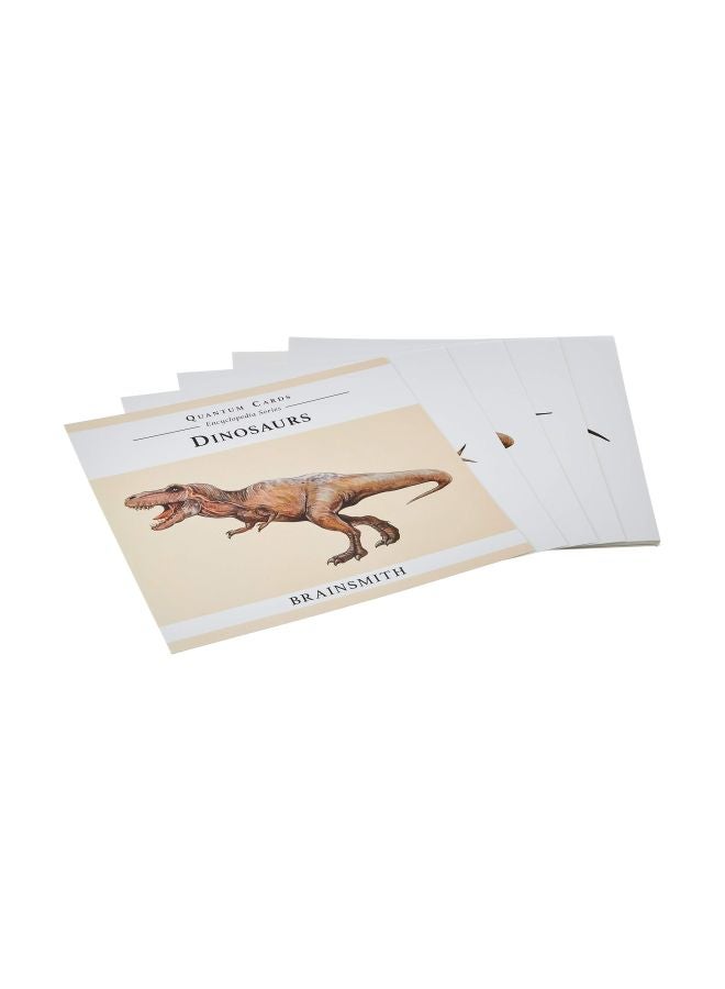 BRAINSMITH 10-Piece Dinosaurs Quantum Flash Card Set - Image 1