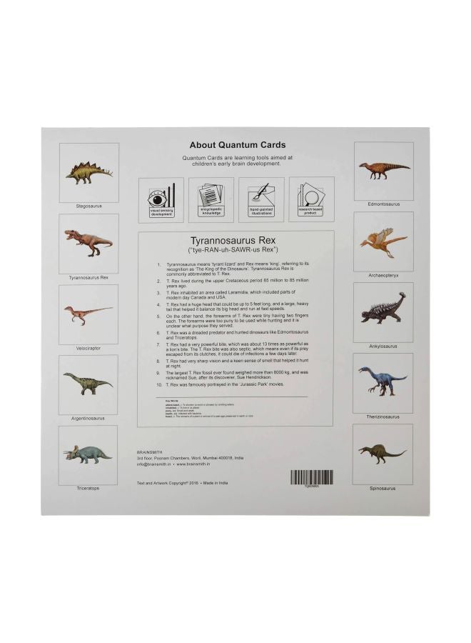 BRAINSMITH 10-Piece Dinosaurs Quantum Flash Card Set - Image 2