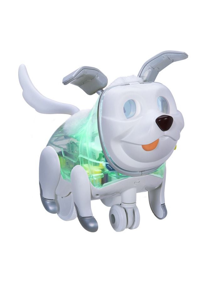 فور ريل لعبة بروتو ماكس التفاعلية للحيوانات الأليفة - Image 1