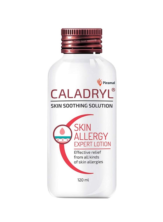 Caladryl - Pack Of 2 Skin Allergy Expert Lotion 120ml - Image 1