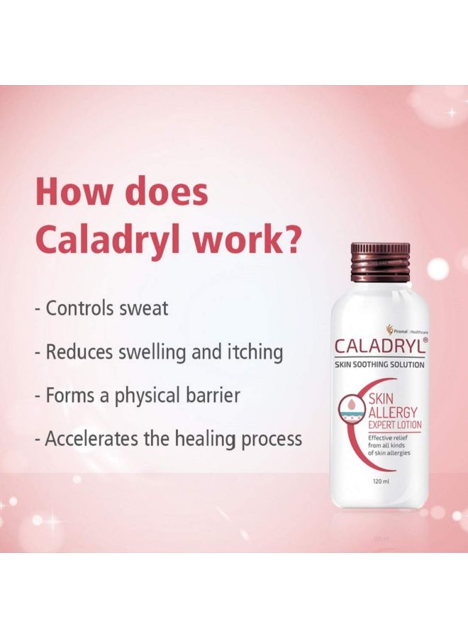 Caladryl - Pack Of 2 Skin Allergy Expert Lotion 120ml - Image 1