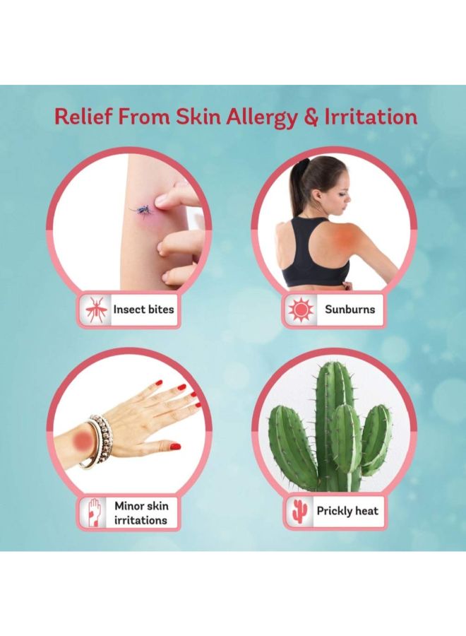 Caladryl - Pack Of 2 Skin Allergy Expert Lotion 120ml - Image 1