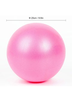 Generic 2-Piece Mini Pilates Barre Physical Ball 25cm  - Image 2