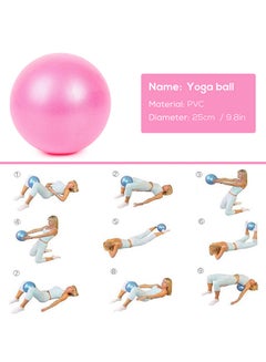 Generic 2-Piece Mini Pilates Barre Physical Ball 25cm  - Image 3