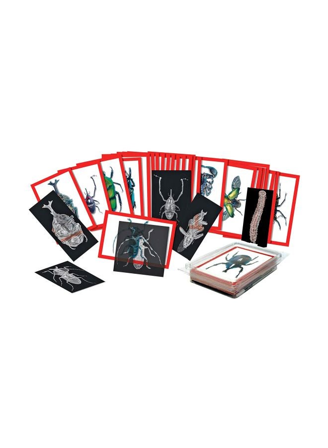 رويلكو مجموعة بطاقات صور وأشعة إكس للحشرات طراز R-5912