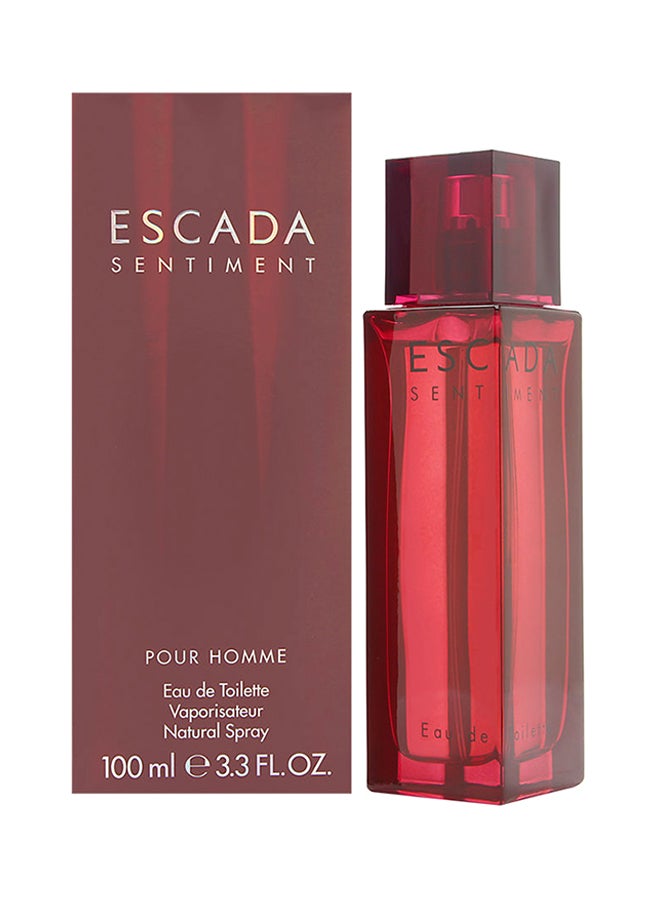 Sentiment Pour Homme EDT 100ml