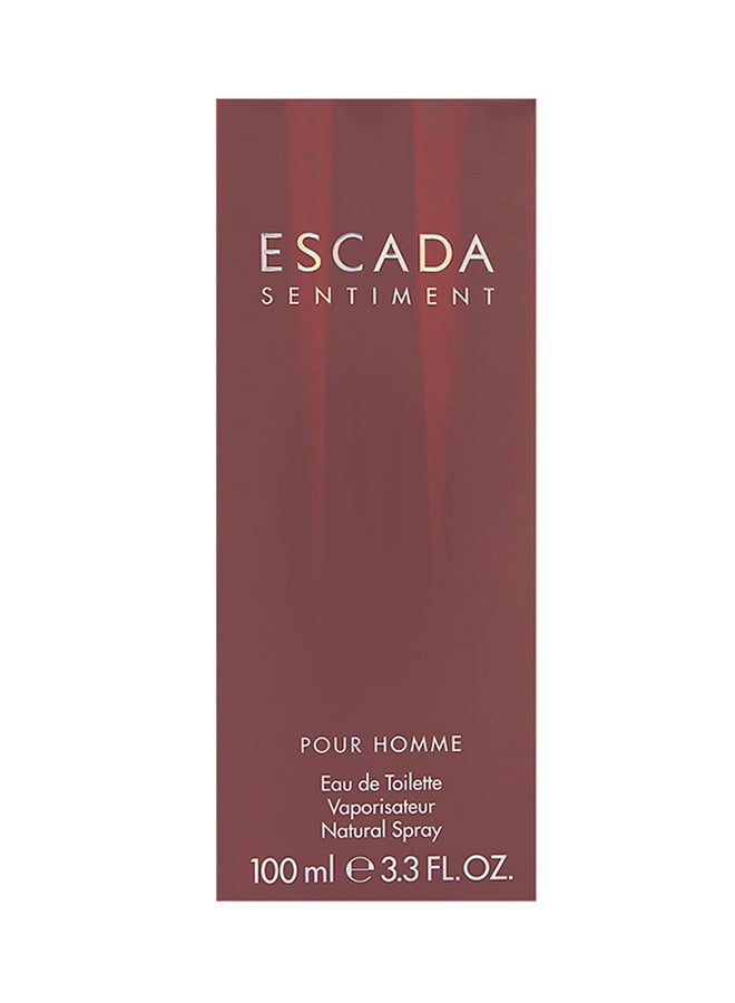 Sentiment Pour Homme EDT 100ml