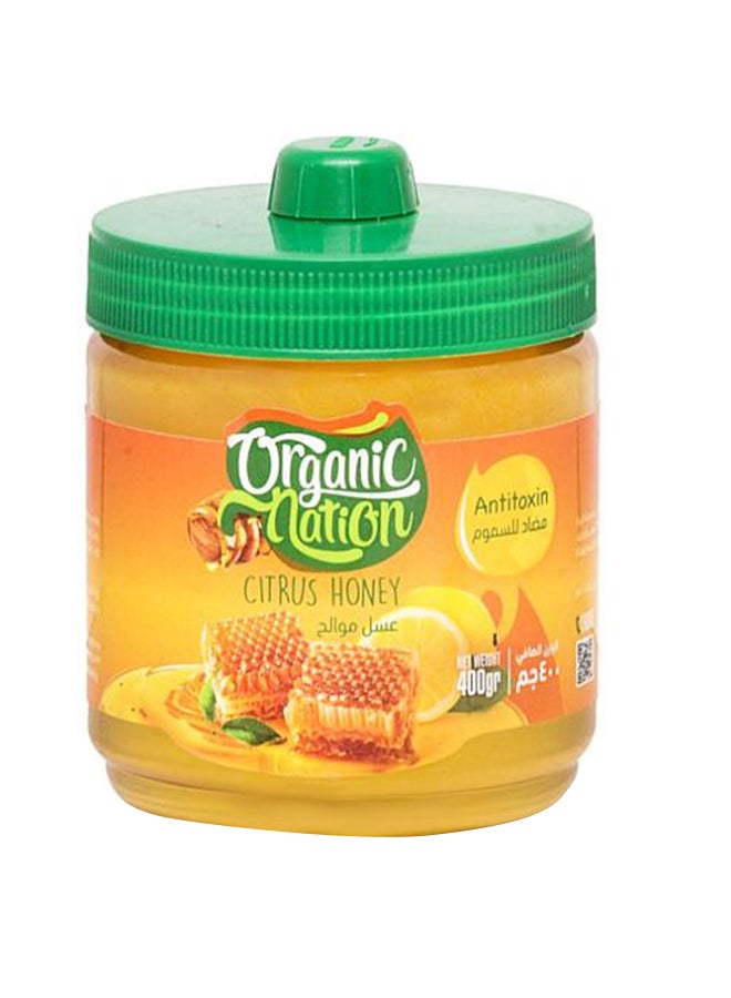 Organic Nation Citrus Honey 400grams 