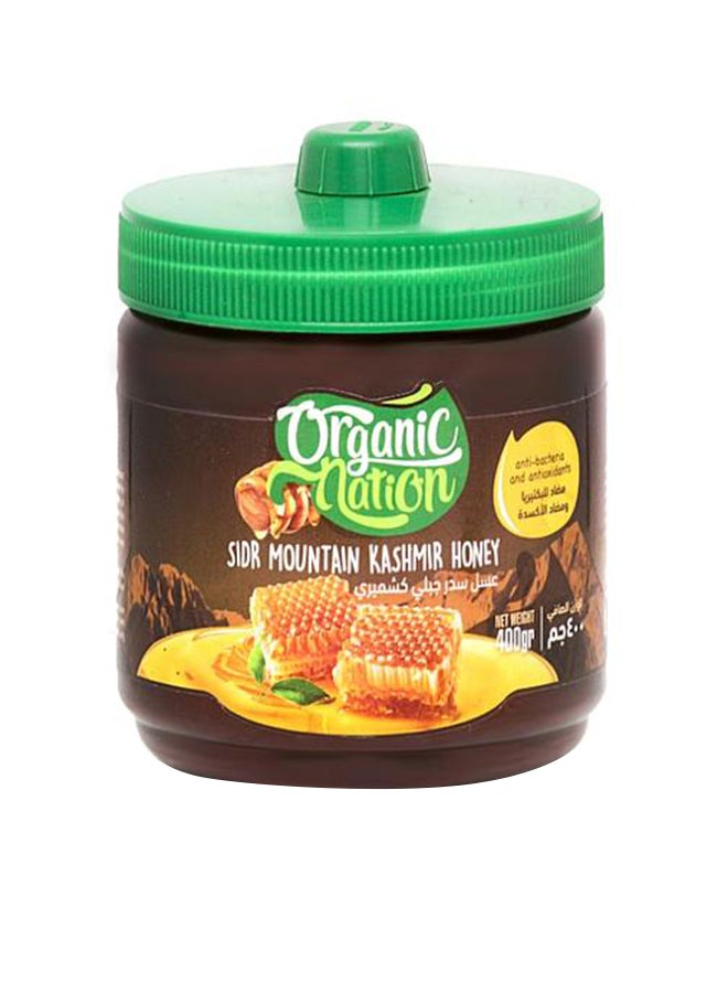 Organic Nation Sidr Mountain Kashmir Honey 400grams 