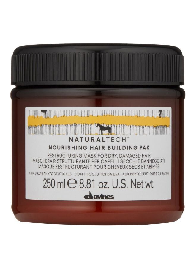 Davines Nourishing Hair Building Pack 250ml - Image 1
