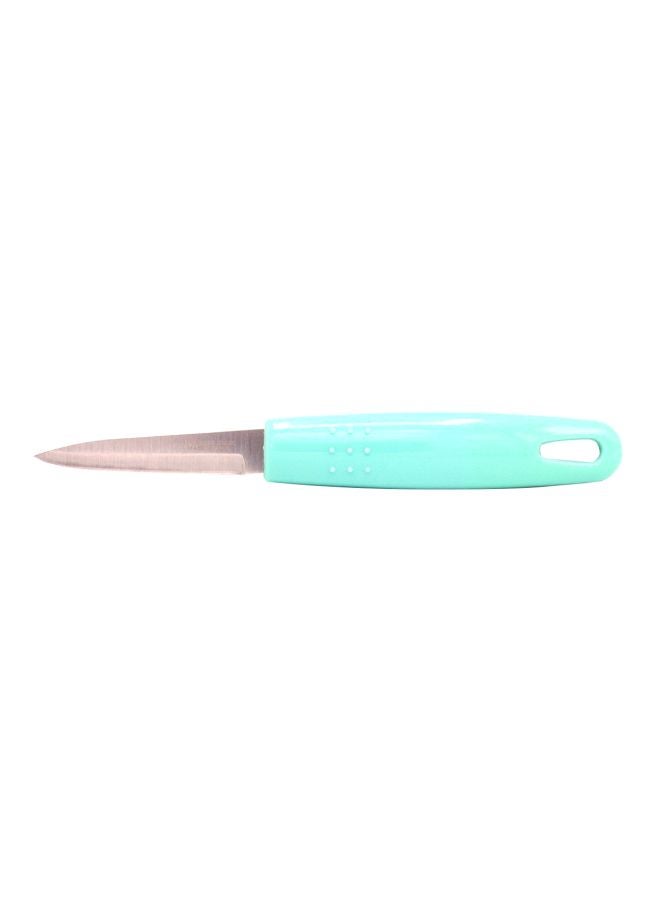 Bin-Shihoun-Abomar Stainless Steel Fruit Knife Turquoise/Silver - Image 1