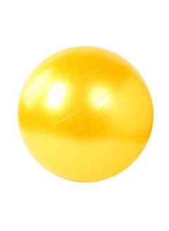 Exercize Ball With Pump 65cm