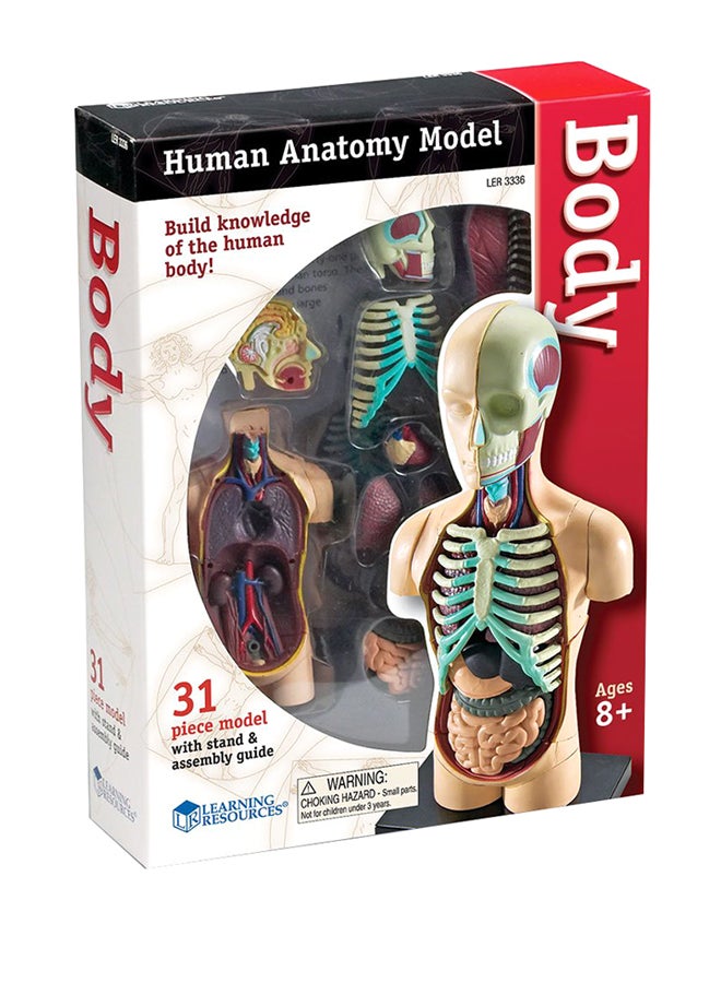 Human Body Model - v1579519458/N33637688A_2