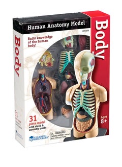 Learning Resources Human Body Model  - Image 2