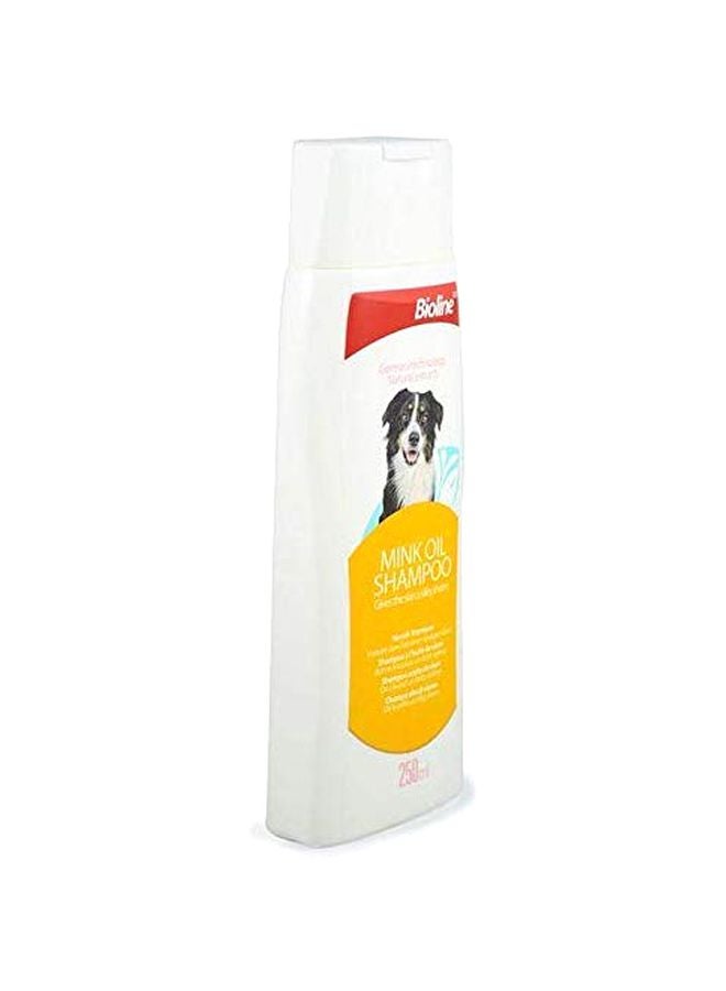 بايولاين شامبو بزيت المنك متعدد الألوان 250ملليلتر - Image 2