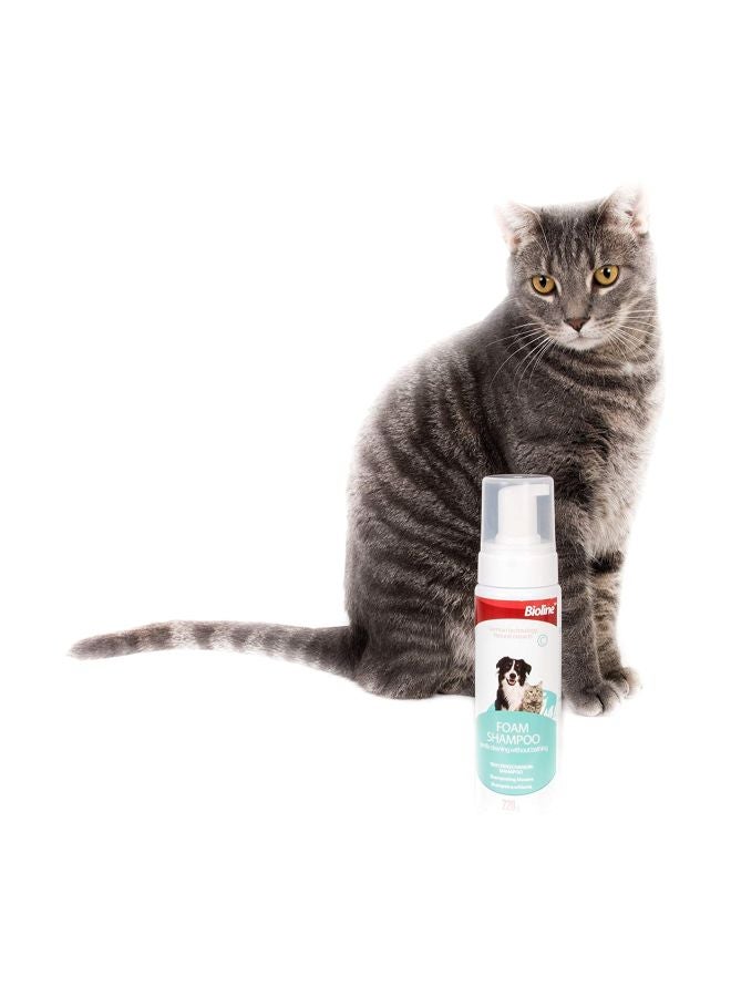 بايولاين شامبو جاف له رغوة متعدد الألوان 220جرام - Image 3