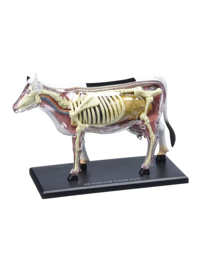 TEDCO 4D Vision Cow Model 6.5inch - Image 1